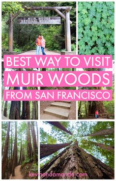 the best way to visit mur woods from san francisco