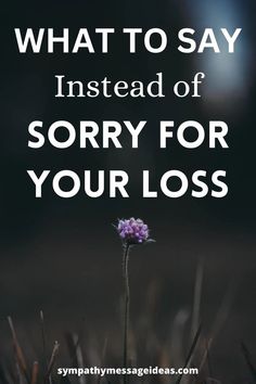 I’m So Sorry For Your Loss, I’m Sorry For Your Loss, What To Say Instead Of Sorry For Your Loss, Message To Someone Who Lost A Loved One, Sorry For Your Lost, Instead Of Sorry, Sympathy Sentiments, Sympathy Messages For Loss, Words To Use Instead