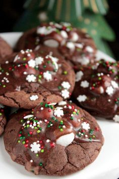 chocolate cookies with white and green sprinkles on a plate