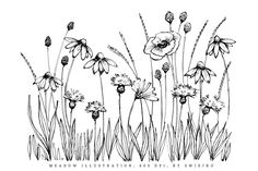 an ink drawing of wildflowers and grasses with the words meadow illustration, by person