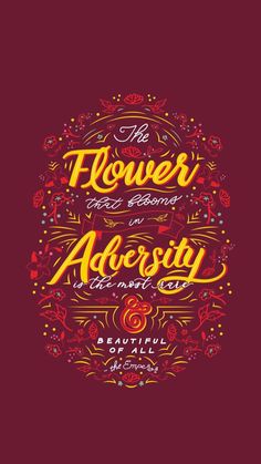 the flowers are blooming in adversity and beautiful calligraphy