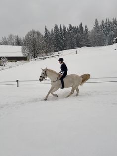 a woman riding on the back of a white horse in snow covered field next to trees