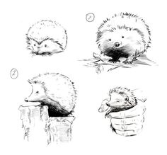 four hedgehogs sitting on top of each other and one is looking at the camera