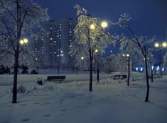 snow covered park benches and street lights in the night time with buildings in the background