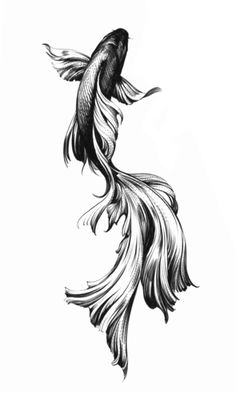 a black and white drawing of a fish