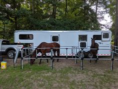 two horses are standing in front of a trailer