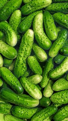 green cucumbers are piled up in a bowl