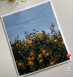 an image of yellow flowers on a white table