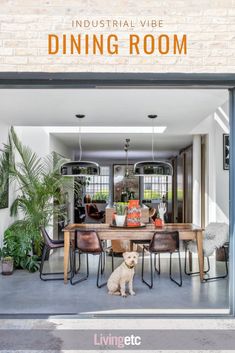 a dog sitting in front of a dining room table with chairs and plants on it