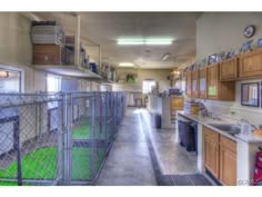 the inside of a dog kennel with lots of wood cabinets and green mats on the floor