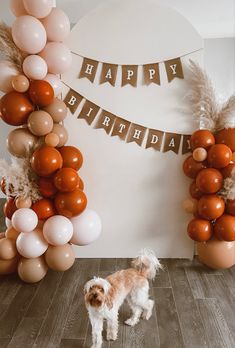 a dog standing in front of balloons and streamers