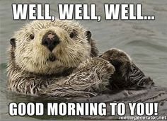 an otter is swimming in the water with its paws on it's back and caption that reads, well, well, well, well, good morning to you