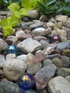 some rocks and stones with plants in the background