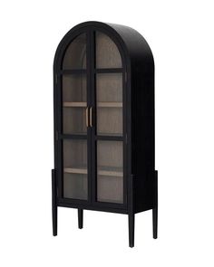 a black cabinet with glass doors on the front and bottom shelves in different shapes and sizes