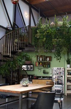 a room filled with lots of plants next to a wooden table and black leather chairs