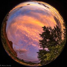 a fish eye view of the sky and trees