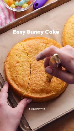 Easy Easter Bunny Cake. Easter dessert. Easter food Hello Yummy, Easy Cakes For Kids, Easy Kids Birthday Cakes, Bunny Desserts, Easter Cake Easy, Dessert Easter, Bunny Birthday Cake, Easter Bun, Cake Easter