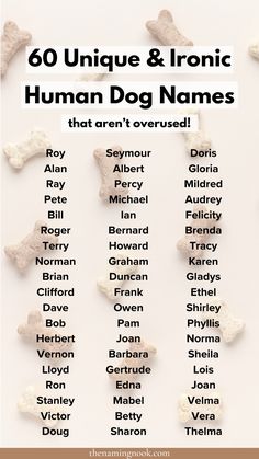 an image of dog bones with the words, 60 unique & ironic human dog names that aren't covered