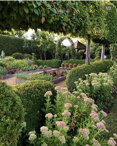 a garden filled with lots of different types of flowers and plants next to each other