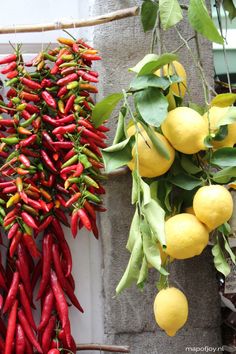 some red and yellow peppers hanging from the side of a building next to lemons