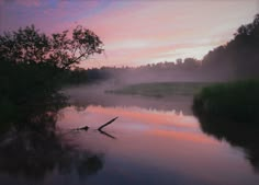 there is a bird that is floating in the water at sunset or dawn on the river