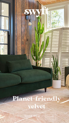 a green couch sitting in front of a window next to a potted plant on top of a table