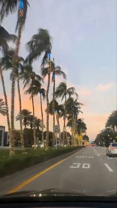 palm trees line the street in front of a car on a city street at sunset