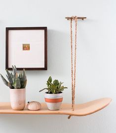 there is a shelf with some plants on it