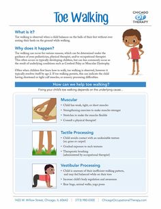 Wilbarger Brushing Protocol Handout, Toe Walking Interventions, Walking Infographic, Therapy Infographic, Sensory Integration Activities, Occupational Therapy Schools, Pediatric Physical Therapy Activities, Pediatric Pt, Toe Walking