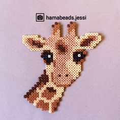 a close up of a giraffe's face made out of small beads