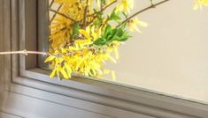 a branch with yellow flowers in front of a window