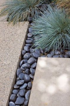 some plants and rocks in the middle of a sidewalk area with concrete blocks on it