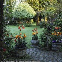 the garden is full of colorful flowers and plants