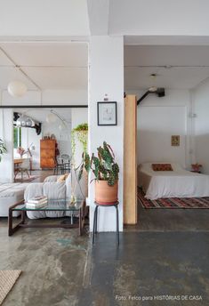 a living room filled with furniture and plants