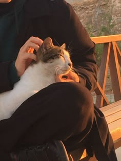 a person sitting on a bench petting a white and brown cat with his eyes closed