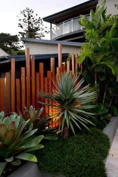 an outdoor garden area with plants and trees