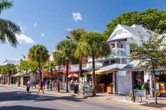 people walking down the street in front of shops and palm trees on a sunny day