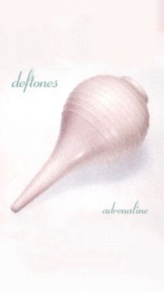 an image of a sea shell with the words delfoones above it and underneath it