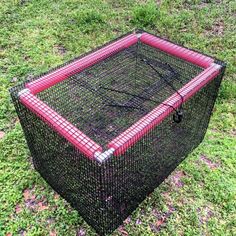 a large black and red cage sitting on top of grass