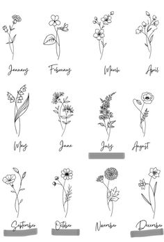 the twelve months of flowers drawn by hand in black ink on a white paper background