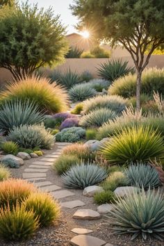 a garden with lots of plants and rocks