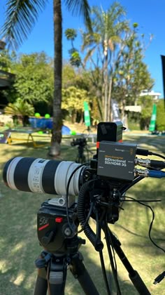 a camera is sitting on top of a tripod in front of a palm tree