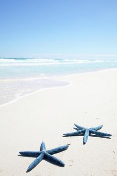 two starfishs are laying on the sand at the beach