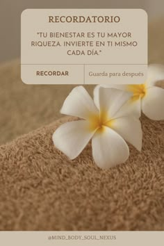 Tu mente es un jardín, cultívala con pensamientos positivos; tu cuerpo, un templo, cuídalo con amor y atención. ✨ #CuidaDeTi #Bienestar #Riqueza #Recordatorio Face Care Tips, Brow Artist, Beauty Marketing, Good Day Quotes, Post Quotes, Beauty Studio, Skin Care Treatments, Skin Care Tools