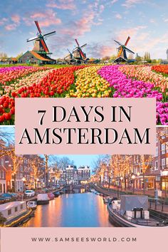 windmills and flowers with the words 7 days in amsterdam