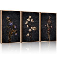 three framed paintings with flowers in them