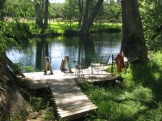 a wooden dock sitting on top of a lush green forest