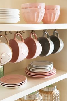 plates and cups are lined up on the shelves