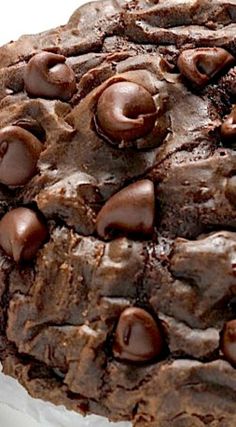 a close up of a chocolate cookie on a plate