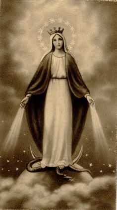 an image of the virgin mary with stars on her head and arms, in black and white